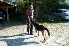Gästebilder 2018 Bild 92