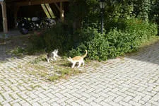 Gästebilder 2019 Bild 153